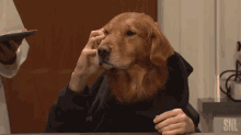 dog call come come here beckon dog call come come here beckon