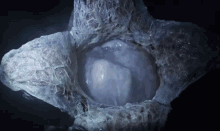 Alien Egg GIF - Alien Covenant Alien Pregnant GIFs