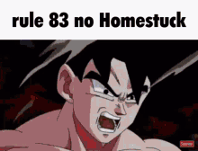 Goku Rules GIF - Goku Rules Homestuck GIFs