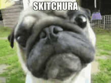 Skitchura Skitchura D GIF - Skitchura Skitchura D Lighthouse GIFs