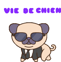 Vie De Chien Pug Life Sticker - Vie De Chien Chien Pug Life Stickers