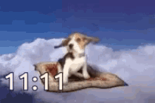 beagle in flight 1111