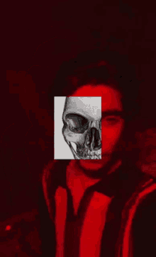 selfie skeleton skull xray