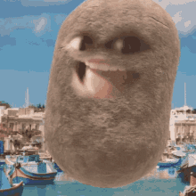 Krumpli Myon GIF - Krumpli Myon Potato GIFs