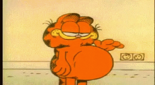 Fat Cat Garfield GIF - Fat Cat Garfield Tummy Full GIFs