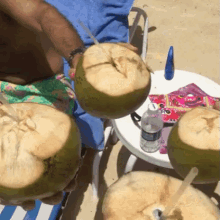 Coconut GIF - Coconut Cheers Tropics GIFs