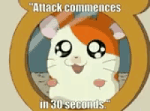 Hamster Overwatch GIF - Hamster Overwatch Attack Commences GIFs