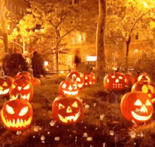 Halloween Jack O Lanterns GIF - Halloween Jack O Lanterns Pumpkins GIFs