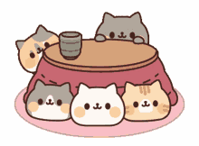 kitty cutecats