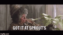 Got It At Sprout'S GIF - Harrypotter Sprouts Professorsprout GIFs