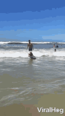 Cool Kid Surfs To Shore Rock On GIF - Cool Kid Surfs To Shore Rock On Surfing GIFs