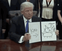 Cat Trump GIF - Cat Trump Kat GIFs