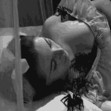 A Sleeping Beauty With Creepy Crawlies All Over GIF - Bugs Insects Bug GIFs