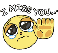 you miss
