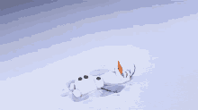 frozen snow