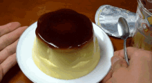 dessert jelly pudding wobble