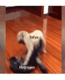Tatya Hydrogen GIF - Tatya Hydrogen Nikal Pakode GIFs