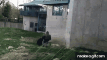 Gorilla Run GIF - Gorilla Run Move GIFs
