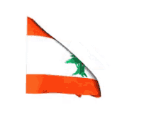Lebanon Flag GIF - Lebanon GIFs