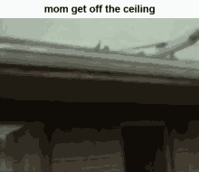 Mom Ceiling GIF - Mom Ceiling Plane GIFs