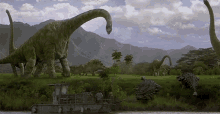 Dinosaur Brachiosaurus GIF - Dinosaur Brachiosaurus Ankylosaurus GIFs