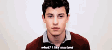Shawn Mendes What GIF - Shawn Mendes What Mustard GIFs