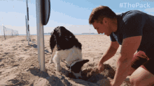 Digging The Pack GIF - Digging The Pack Sand GIFs