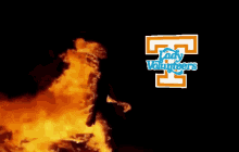 Tennessee Rocky GIF - Tennessee Rocky Top GIFs