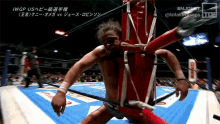 kenny omega the cleaner hurt new japan pro wrestling