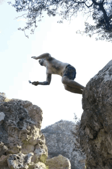 Rock Jump GIF - Rock Jump Cliff Diving GIFs