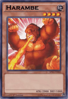 dicks out for harambe never forget gorilla meme yugioh