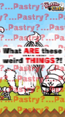 chef pastry pastry chech whisk running chef pastry pastry chech whisk running