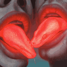 Snakes Kissing GIF - Snakes Kissing Tongues GIFs