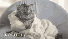 Cat Cold GIF - Cat Cold Towel GIFs