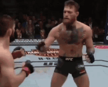 khabib nurmagomedov
