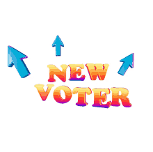 voter vote