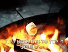 Camping Fire GIF - Camping Fire Smores GIFs
