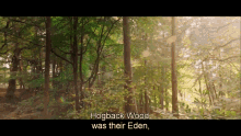 good omens the them kids non binary characters hogback wood good omens the them kids non binary characters hogback wood