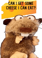 Cheese Boi Sticker - Cheese Boi Stickers