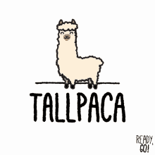 alpaca llama animation art lama