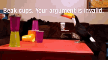 Toucan Break Cups GIF - Toucan Break Cups Your Argument Is Invalid GIFs