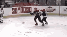 Ottawa Senators Sens Goal GIF - Ottawa Senators Senators Sens Goal GIFs