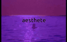 Aesthetic Test GIF - Aesthetic Test Not For U GIFs