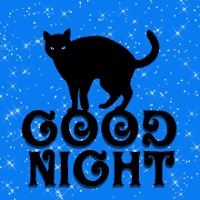 Good Night Black Cat GIF - Good Night Black Cat Cat GIFs