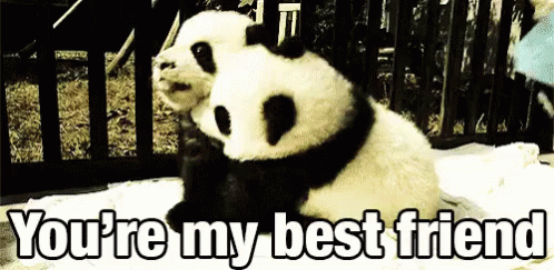 You'Re My Best Friend GIF - Panda Baby Hug GIFs
