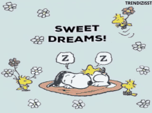 Good Night Sweet Dreams GIF - Good Night Sweet Dreams Snoopy GIFs