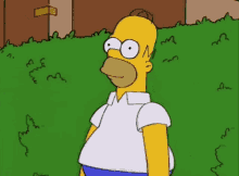 Homer Homer Simpson GIF - Homer Homer Simpson Bushes GIFs
