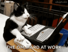 Cat Mouse GIF - Cat Mouse Computer GIFs