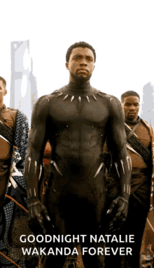 Wakanda Forever GIF - Wakanda Forever Black Panthers GIFs