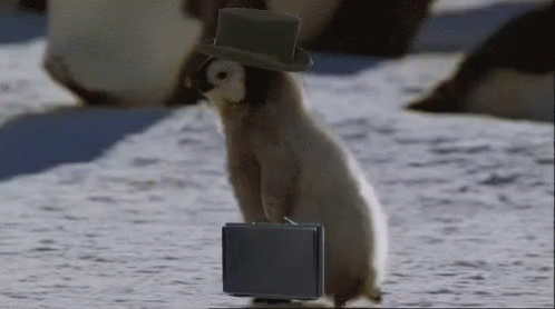 penguin-business.gif